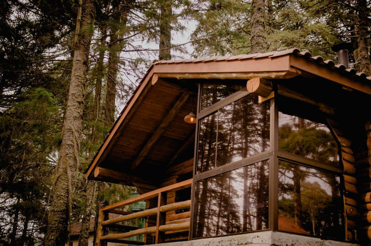 Refugio Do Caracol Chales Otel Canela Dış mekan fotoğraf